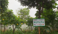 邛崃市悦美佳康养服务中心图片