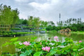 北京懋源天颐康养社区图片