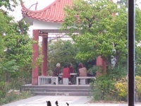 玉花园养老服务中心图片