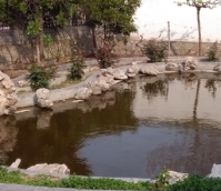 玉花园养老服务中心图片