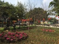 成都龙泉蓉东福寿养老院图片