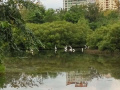 三亚白鹭海之家度假老年公寓图片