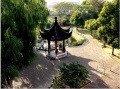 上海宝山区杨行镇宝山敬老院图片