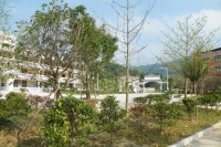 四川省巴中市通江县大椿养老康复中心图片