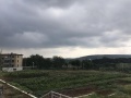 抚顺市新抚区晨光养老院图片