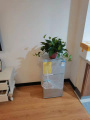 郑州市禧阳阳康养酒店有限公司图片
