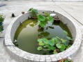 沣盛养老图片