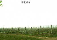 颐和老年公寓图片