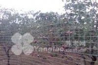 北京市丰台区北宫森林老年疗养中心图片