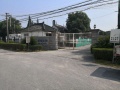 上海市金山区张堰镇敬老院图片