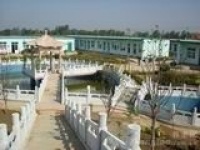 河北省保定市博野县城东敬老院图片