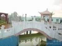 河北省保定市博野县城东敬老院图片