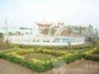 河北省保定市博野县城东敬老院图片