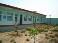 河北省保定市博野县城东敬老院图片