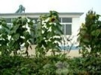 北京市延庆区延年敬老院图片
